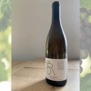 Saint Roch, vin blanc